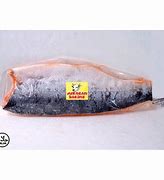 Ikan Salmon Harga